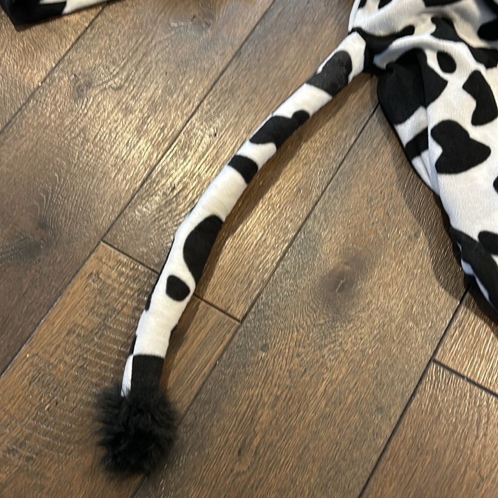 Cow costume - Picture 4 of 5